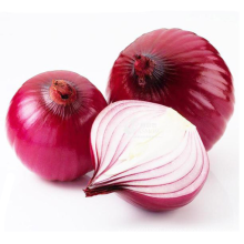 2019 fresh stock mid-maturing high yield hybrid f1 red onion vegetable seeds